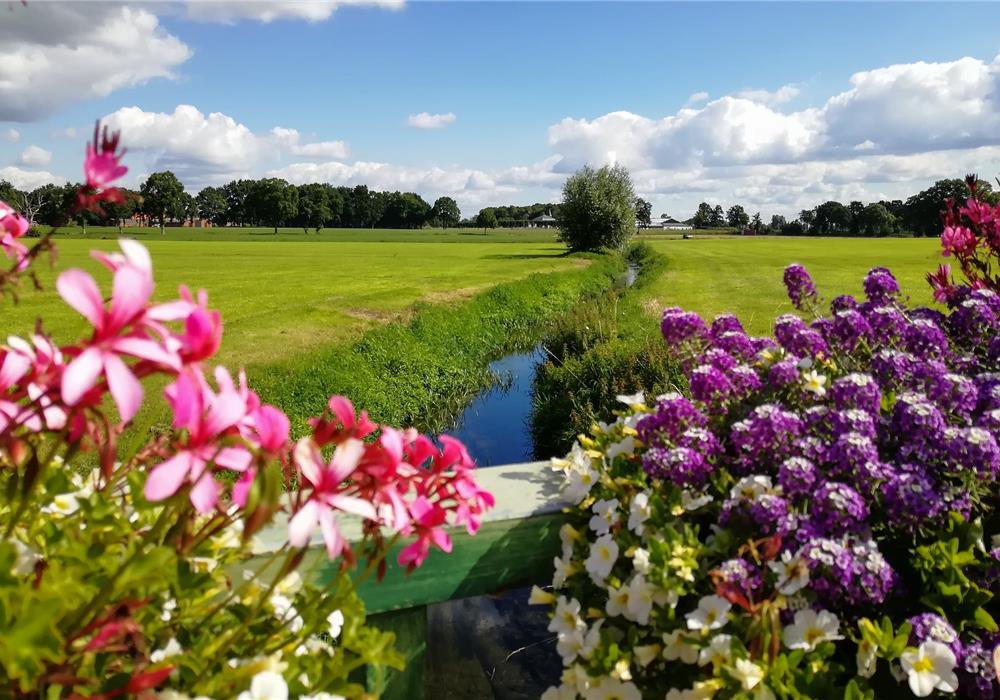 Welkom
